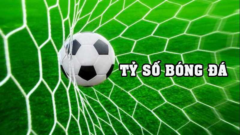 SportTok - Nền Tản Trực Tiếp Bóng Đá Miễn phí SỐ 1 Việt Nam