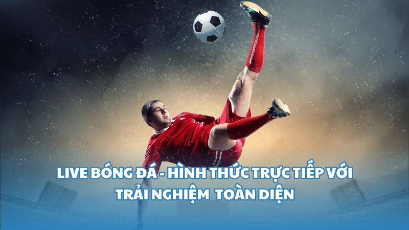 Live bóng đá – Hình thức trực tiếp mang đến trải nghiệm thể thao toàn diện
